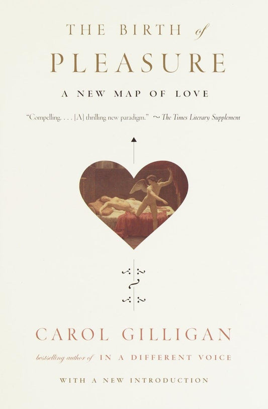 Birth of Pleasure: A New Map of Love book cover