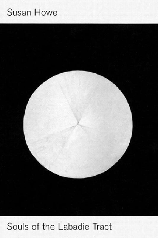 Souls of the LaBadie Tract book cover