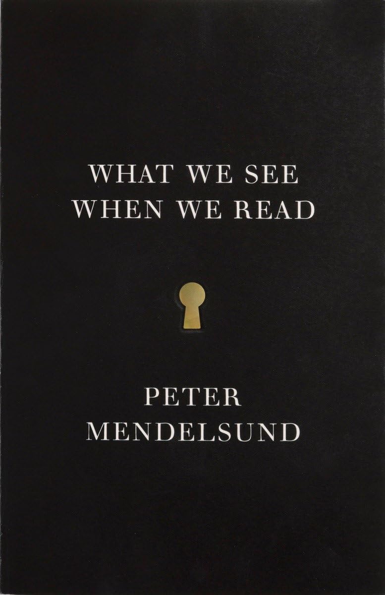 What We See When We Read book cover