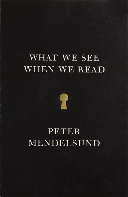 What We See When We Read book cover