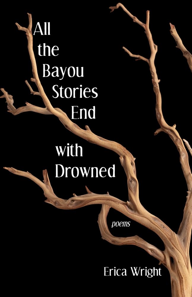 All the Bayou Stories End with Drowned book cover