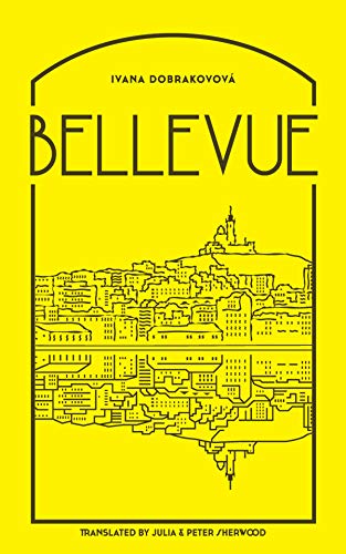 Bellevue book cover