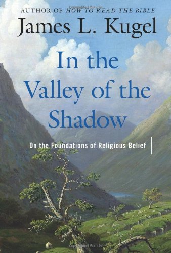 In the Valley of the Shadow: On the Foundations of Religious Belief book cover