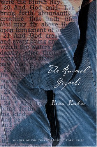 Animal Gospels book cover