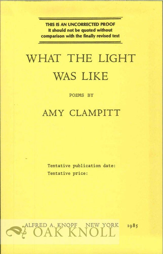 What the Light Was Like