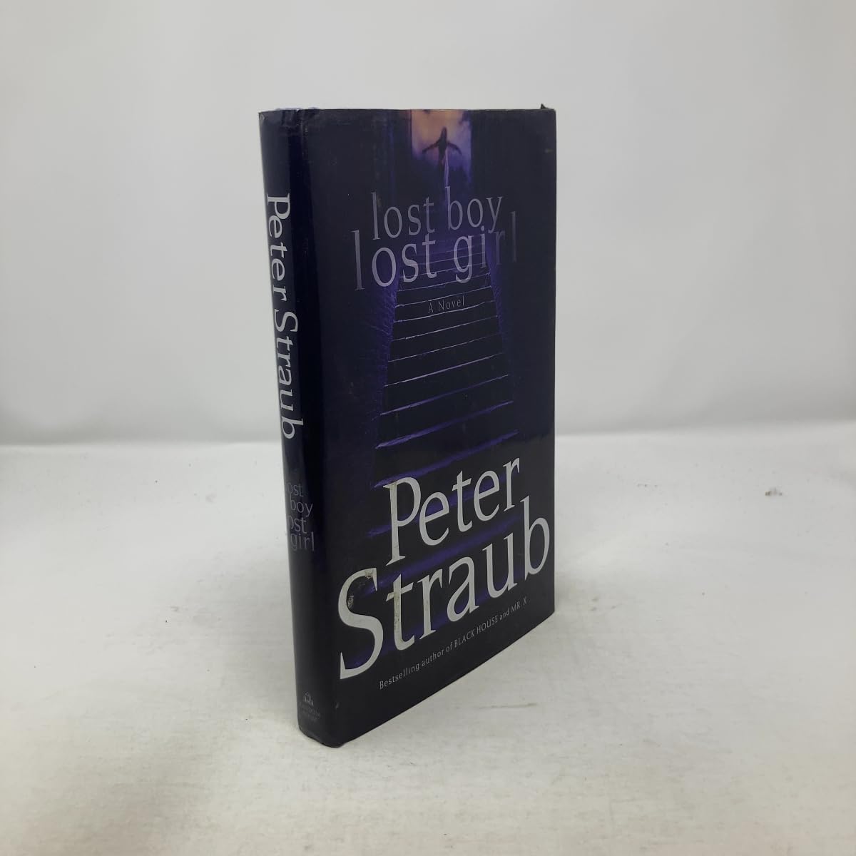 Lost Boy Lost Girl book cover