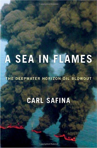 Sea in Flames: The Deepwater Horizon Oil Blowout