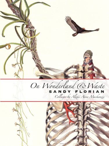 On Wonderland & Waste book cover