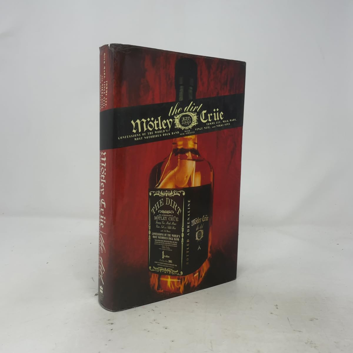 Dirt: Confessions of the World's Most Notorious Rock Band book cover