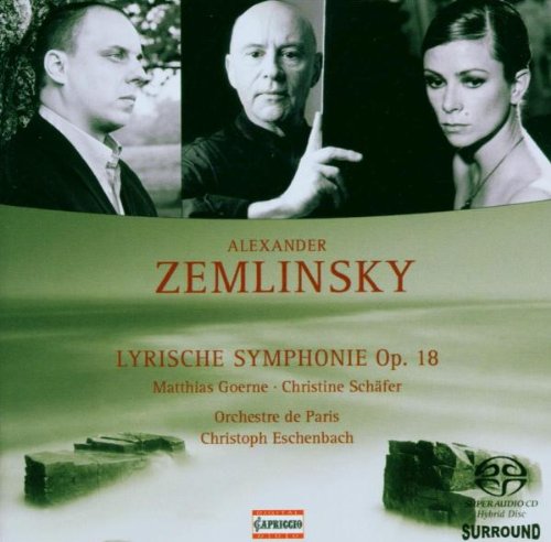 Lyrische Sinfonie Op.1 book cover