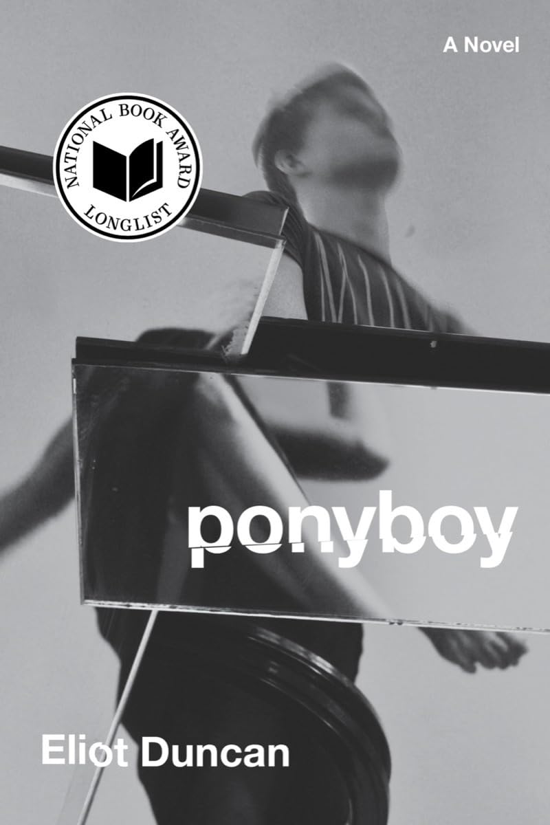 Ponyboy: A Novel