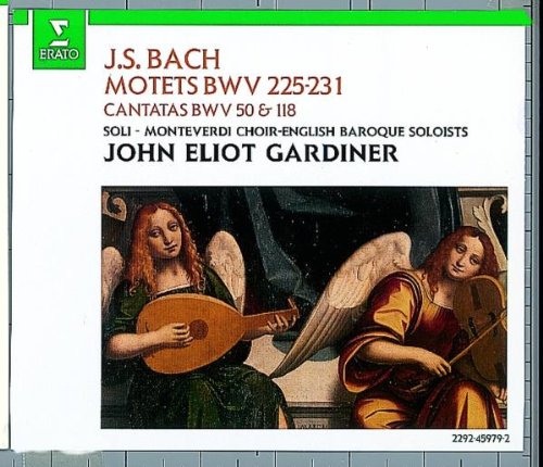 Motets / Cantatas book cover