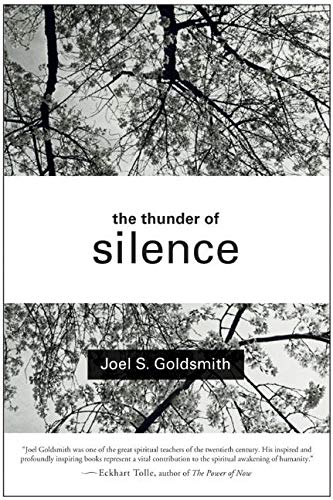 Thunder of Silence