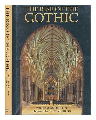 The Rise of The Gothic book cover