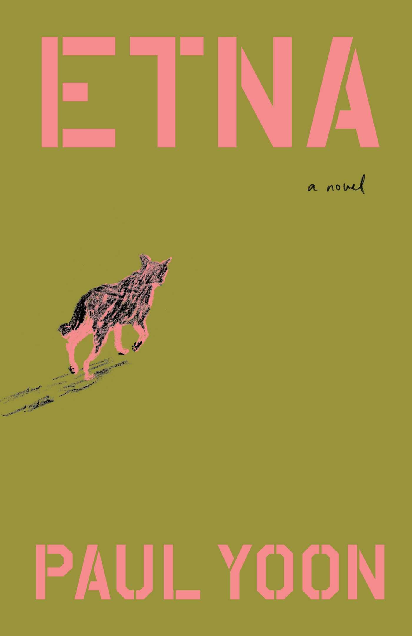 Etna book cover