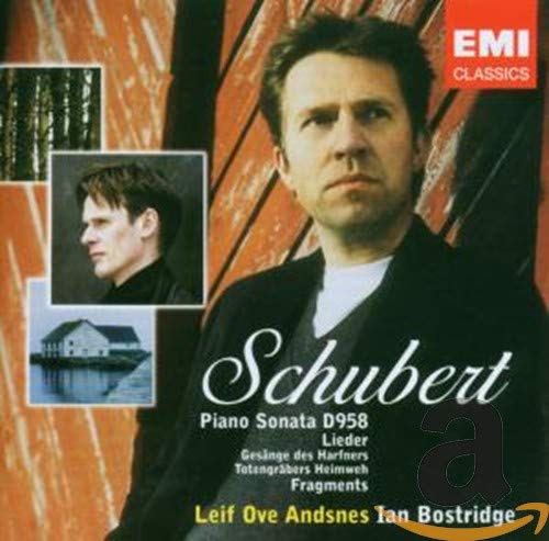 Piano Sonata in C Minor D958 / Piano Fragments (Imported) book cover