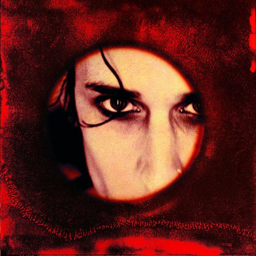 Distorted Lullabies book cover