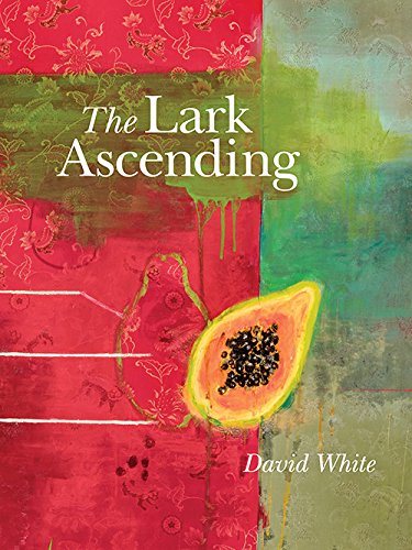 Lark Ascending book cover