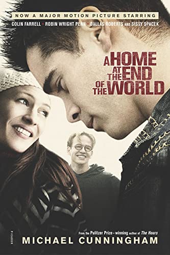 Home at the End of the World book cover