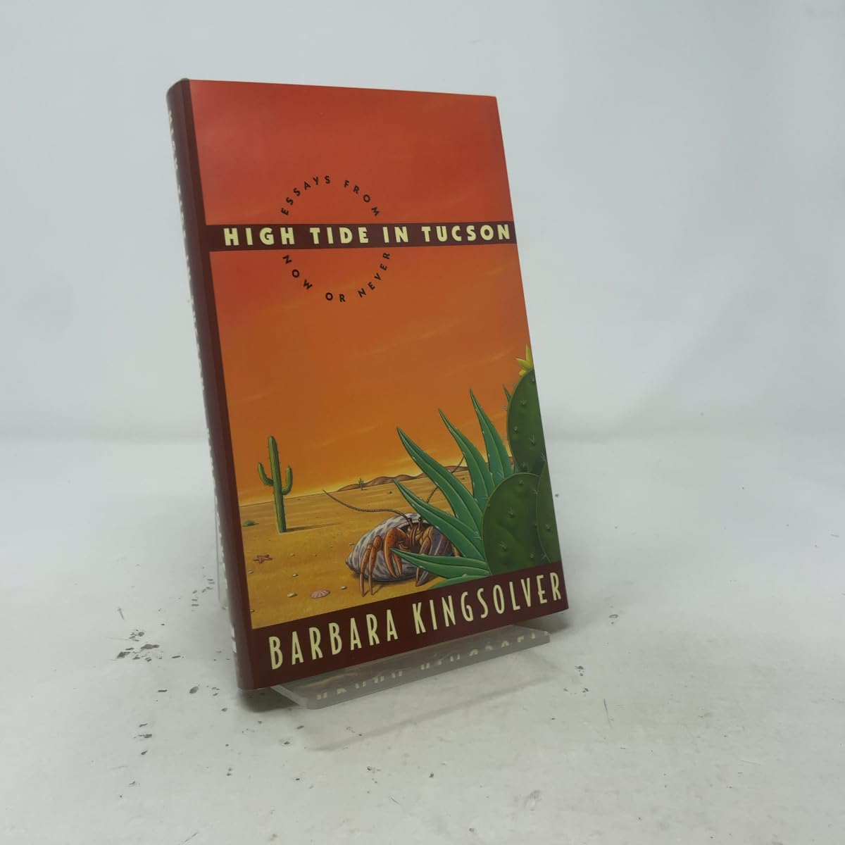 High Tide in Tucson: Essays from Now or Never book cover