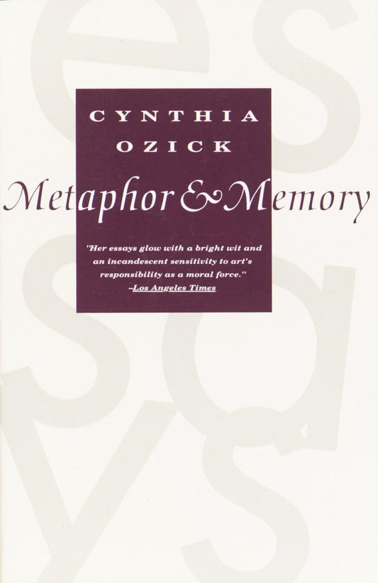 Metaphor & Memory book cover