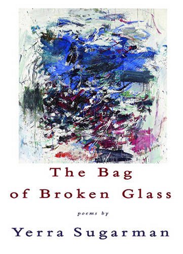 Bag of Broken Glass book cover