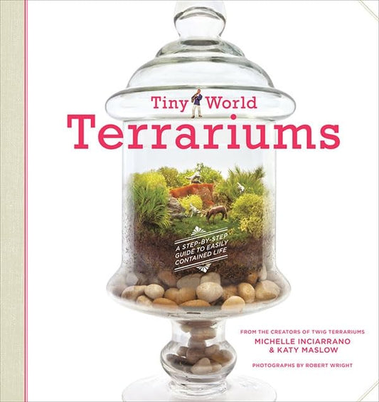 Tiny World Terrariums: A Step-By-Step Guide