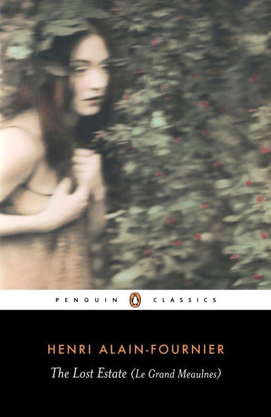 The Lost Estate (Le Grand Meaulnes) book cover
