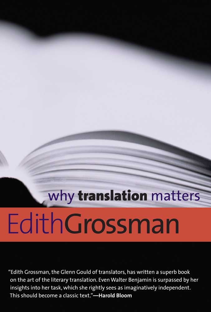 Why Translation Matters book cover