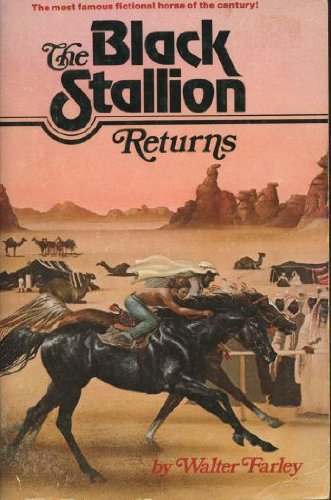 Blk Stall Retrns-Pa book cover