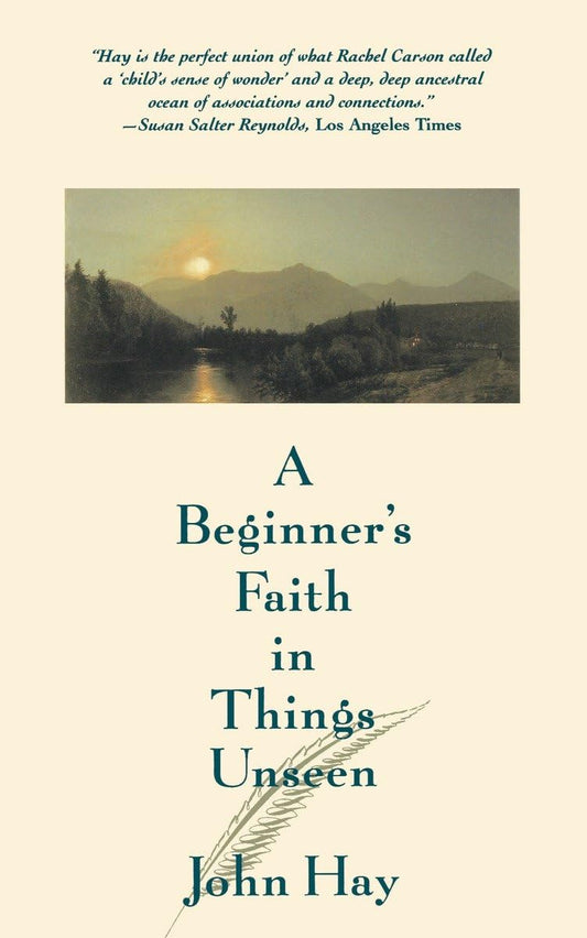 Beginner's Faith in Things Unseen book cover