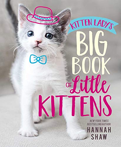 Kitten Lady's Big Book of Little Kittens book cover