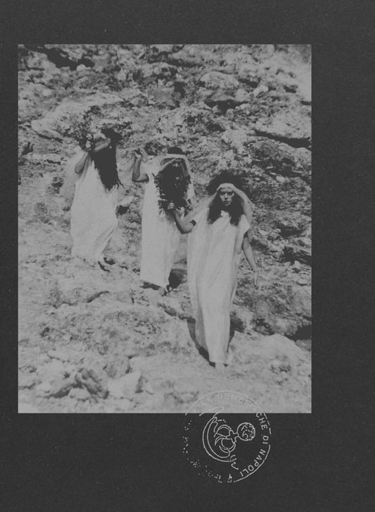 Le Nemesiache: Reclaiming Mythological Rituals book cover