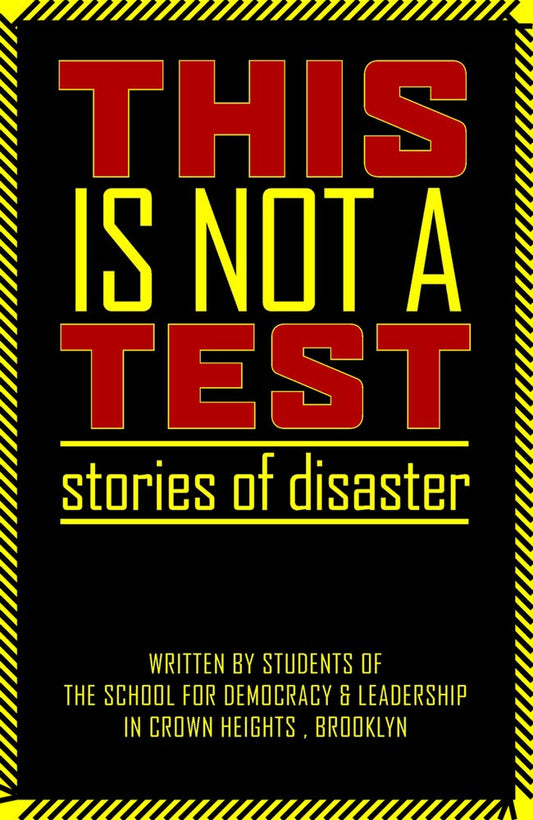 This Is Not a Test: Stories of Disaster book cover