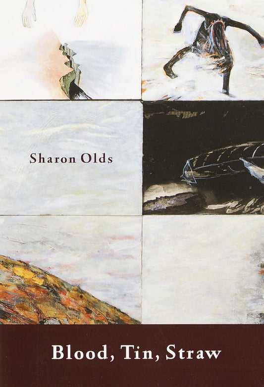 Blood, Tin, Straw: Blood, Tin, Straw: Poems book cover