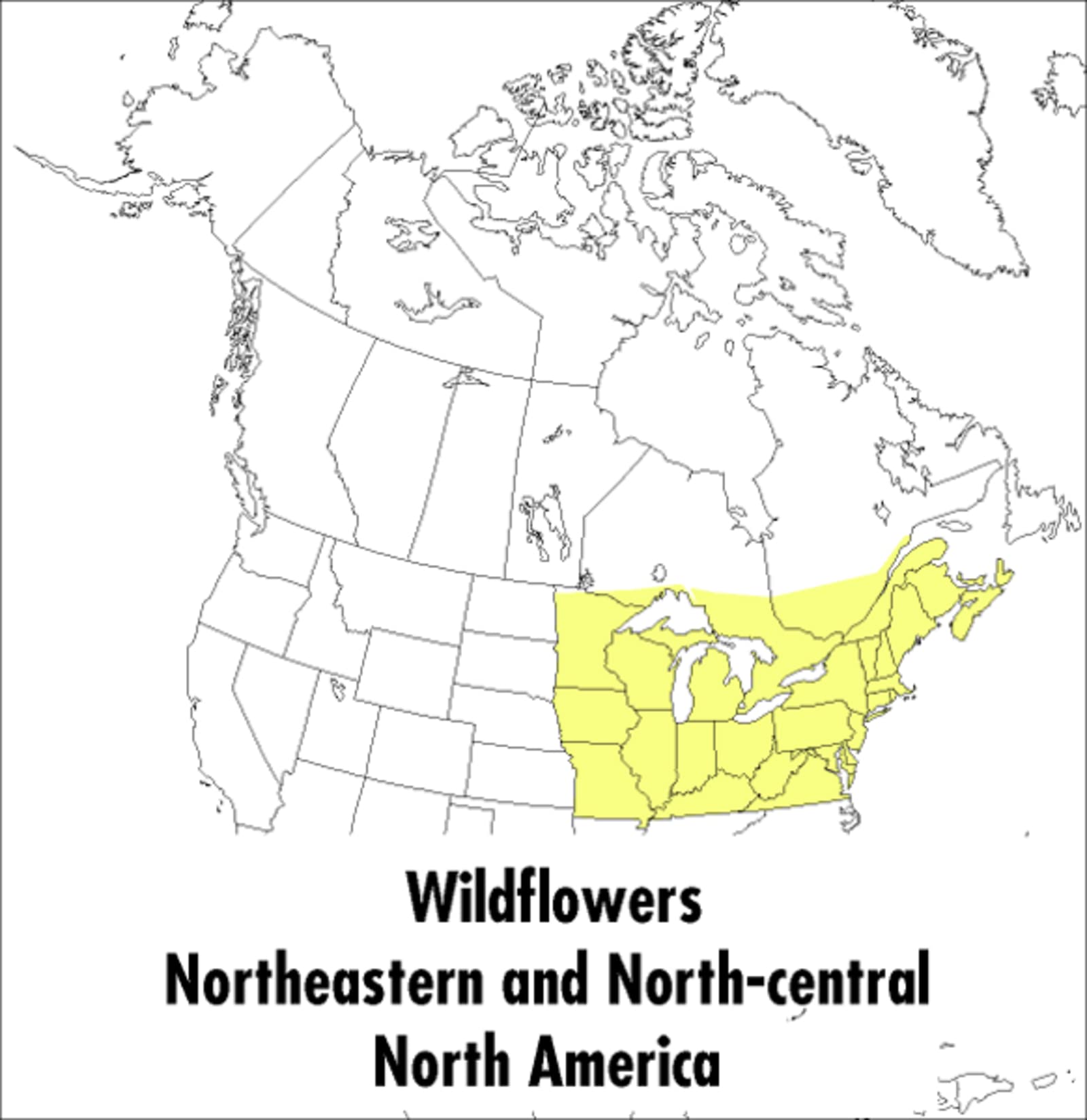 Peterson Field Guide to Wildflowers: Northeastern and North-Central North America book cover