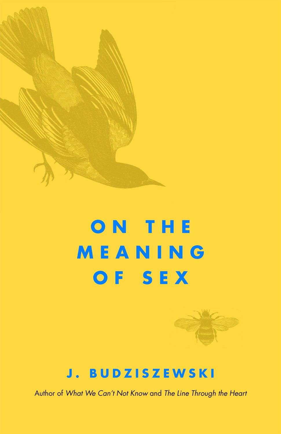 On the Meaning of Sex book cover