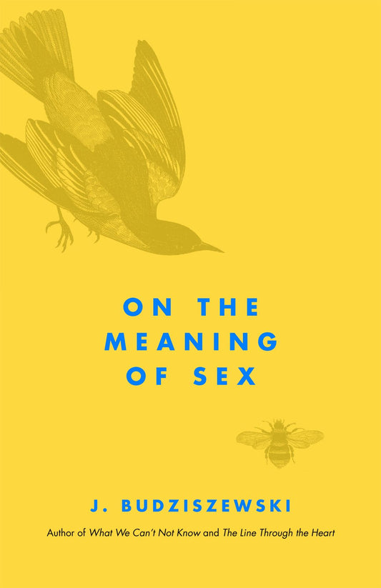 On the Meaning of Sex book cover