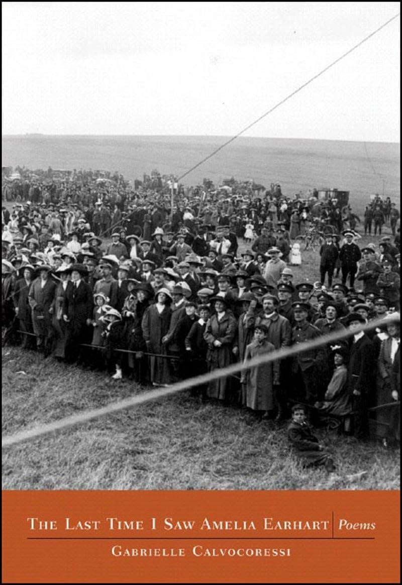 The Last Time I Saw Amelia Earhart book cover