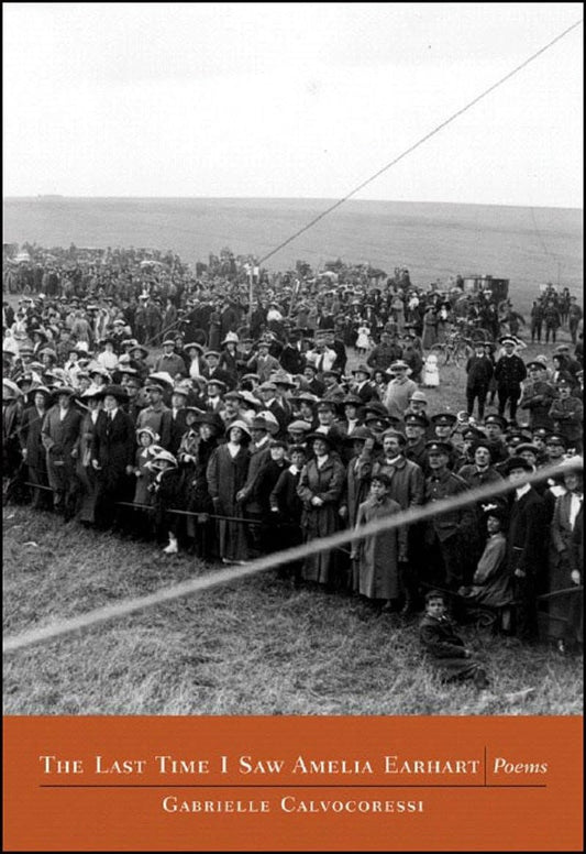 The Last Time I Saw Amelia Earhart book cover