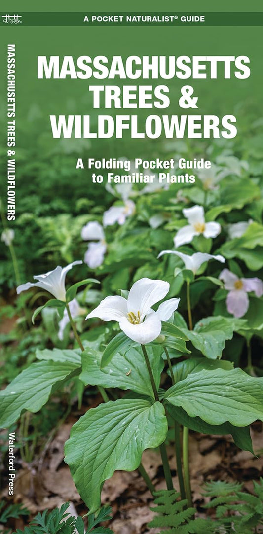 Massachusetts Trees & Wildflowers: A Folding Pocket Guide to Familiar Plants