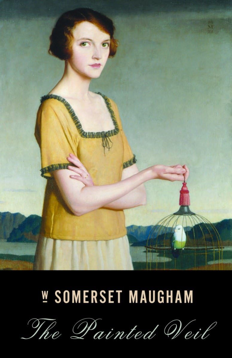 Painted Veil book cover