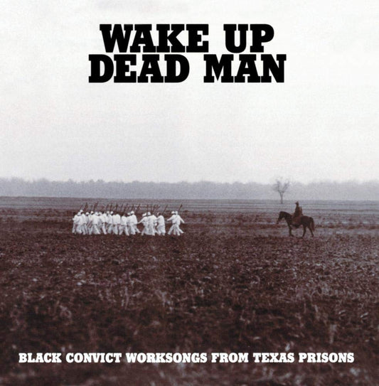 Wake Up Dead Man: Black Convict Worksongs from Texas Prisons book cover