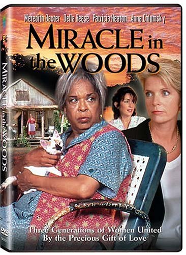 Miracle in the Woods book cover
