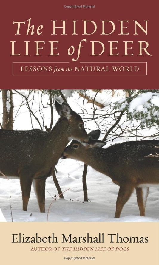 Hidden Life of Deer: Lessons from the Natural World book cover