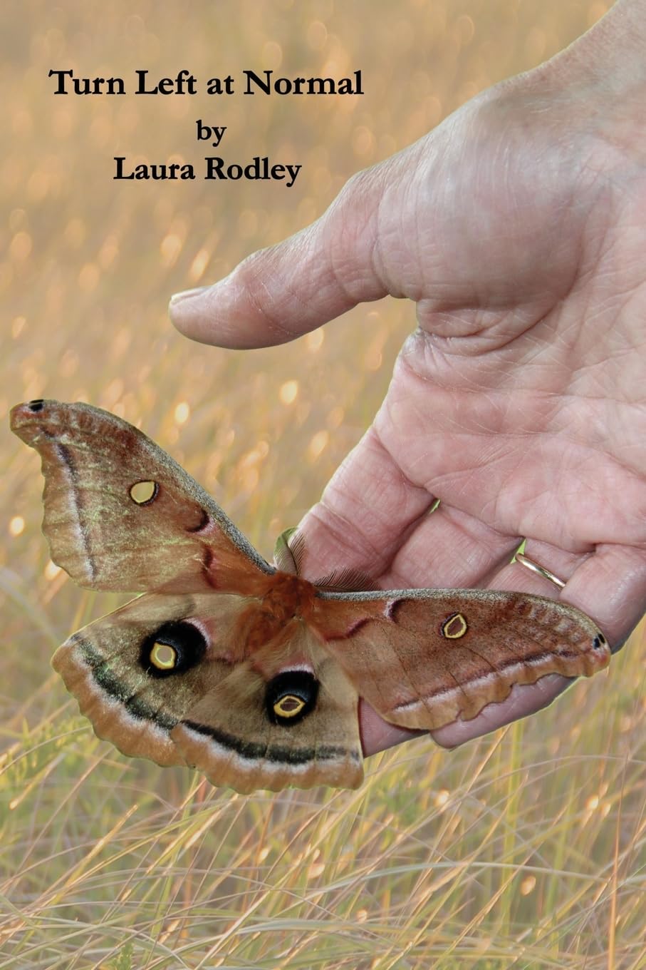 Turn Left at Normal book cover