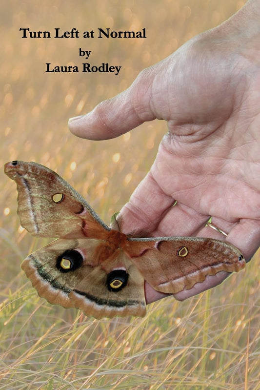 Turn Left at Normal book cover