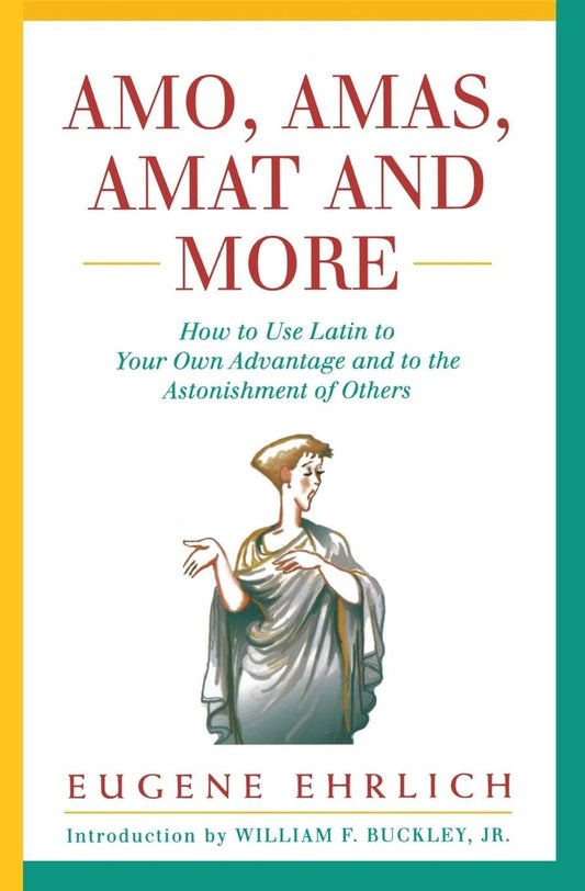 Amo, Amas, Amat and More (Hudson Group Books) book cover