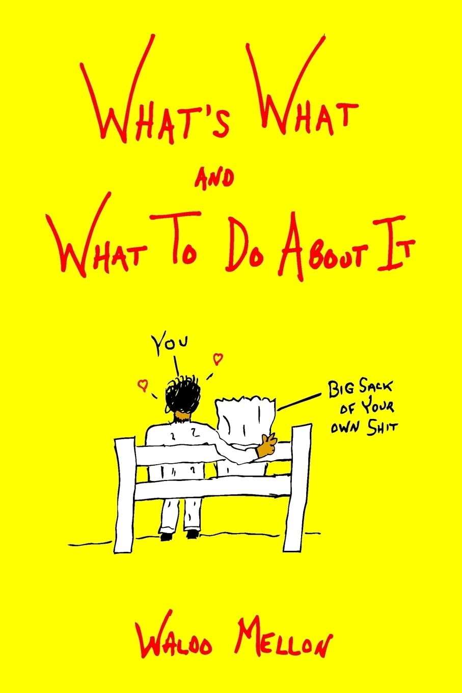 What's What And What To Do About It book cover