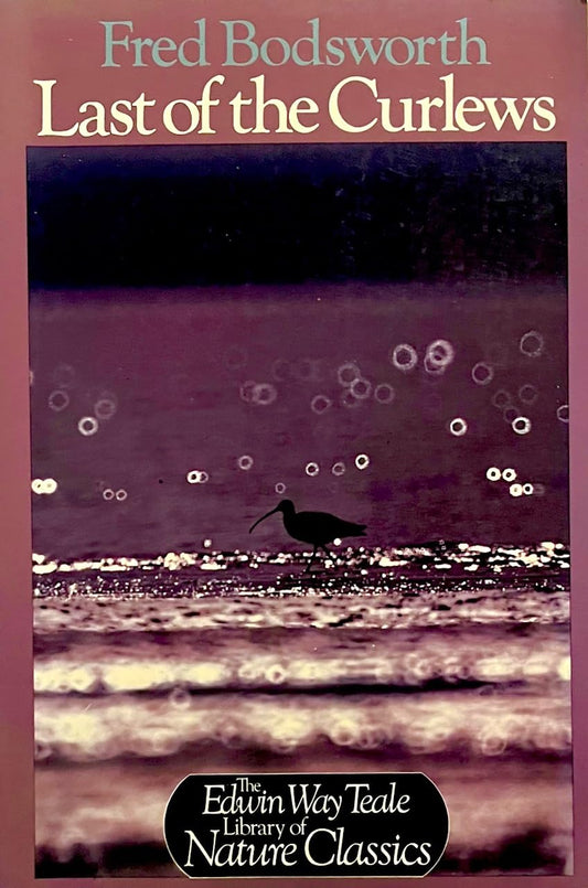 Last of the Curlews book cover